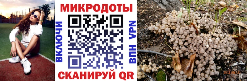 площадка как зайти  Гурьевск  кракен как войти  Псилоцибиновые грибы Psilocybe  как найти закладки 